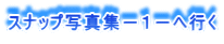 Xibvʐ^W|P|֍s